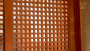 x1xDD3D66191276FE3795