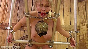 HuCows – Denise Goat Milker Frame