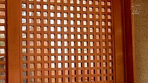 x1xDD3D66191276FE3795