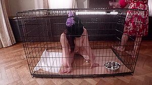 x2x137B0A57D21B17F759