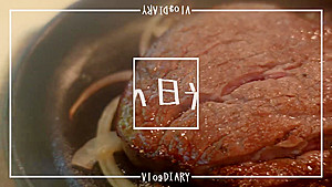 535LOG-001 Japanese Amateur