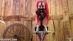 Horny Porn Video Bondage Craziest Only For You