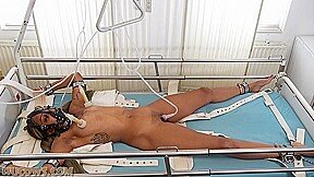 Hu Cows – Thiccy Niccy – Triple Pumped