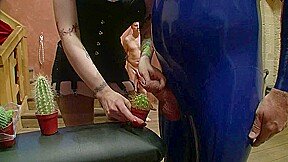 Humiliated and pressed cock into the cactus