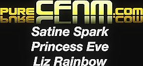 Last Night Of Freedom