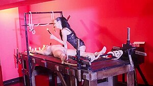 Amazing Adult Clip Clamps Exotic Full Version