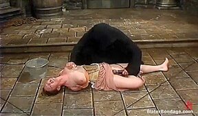 Dee Williams – Lotus And Darling