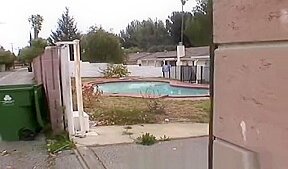 public flashing around town