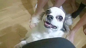 Busty Redhead With Glasses Receives A Cumbath