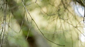 Snow White XXX An Axel Braun Parody – Scene 4