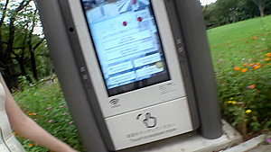 451HHH-034 Japanese Amateur