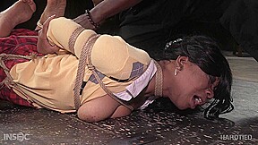 HardTied – Cupcake Sinclair