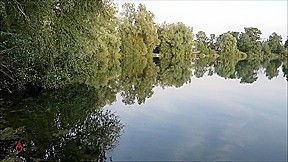 User Request: Piss in the Lake!