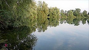 User Request: Piss in the Lake!