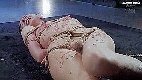 x1x3E33CE23915AE1A6F0