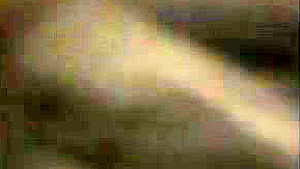 298HONB-230 Japanese Amateur