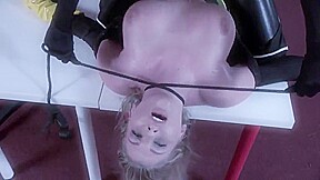 Darkwing 2 Darkwing Returns