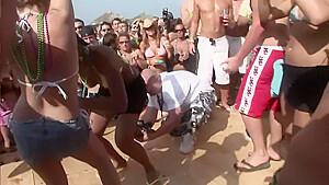 Whip creamed – DreamGirls