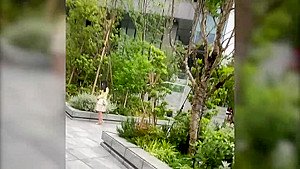 326KSS-004 Japanese Amateur