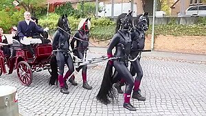 ponygirls and ponyboys outdoor