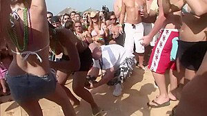 Whip creamed – DreamGirls