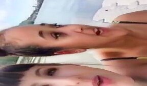 Torilori mori periscope