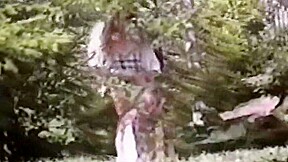 Exotic Brunette, Retro xxx clip