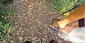 Though snakes generally terrify me, this particular one I encountered while walking in the woods doesn’t instill that s