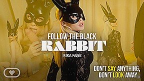 Follow the Black Rabbit