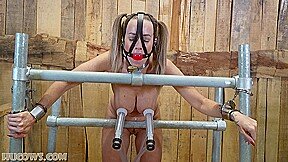 HuCows.Cindy.Dollar.Full.Power.Goat.Milker.